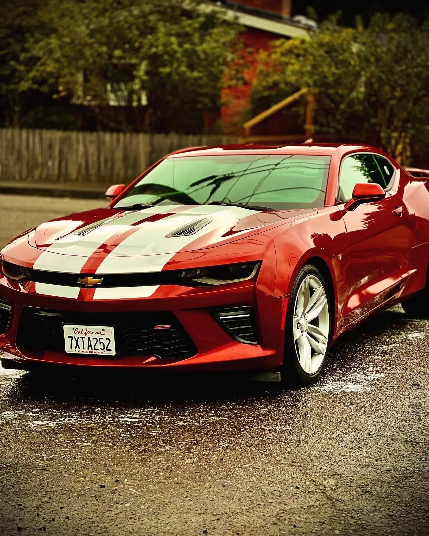 Red Chevrolet Camaro with white racing stripes, freshly detailed and shining in a residential area.